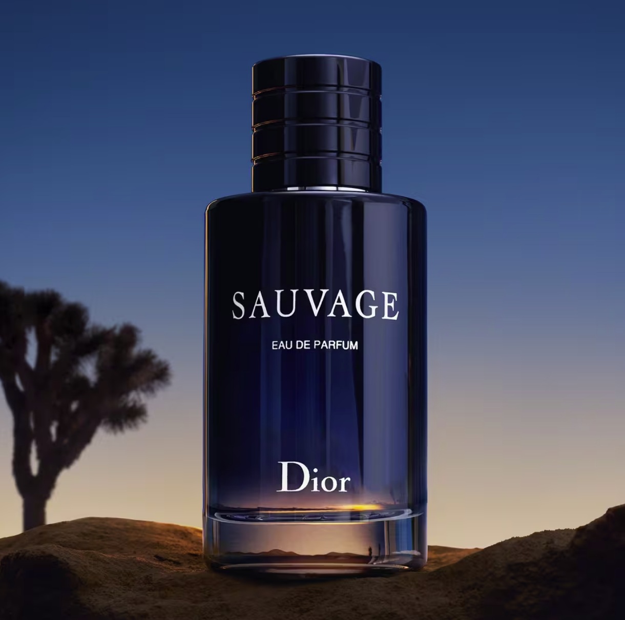 Sauvage Eau de Parfum by Dior